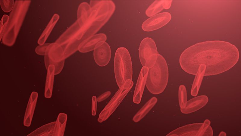 Some Covid-19 survivors have antibodies that attack the body instead of coronavirus ALB