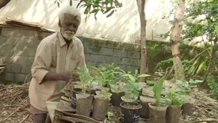 79 years old roadside sapling sellers sales double after viral Photo RTB 79 years old roadside sapling sellers sales double after viral Photo RTB