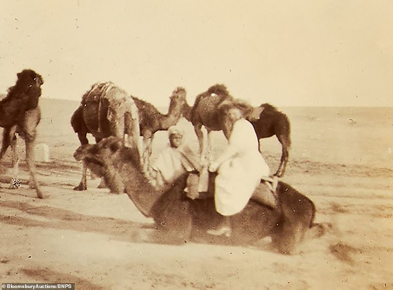112 year old family album contains photos and postcards