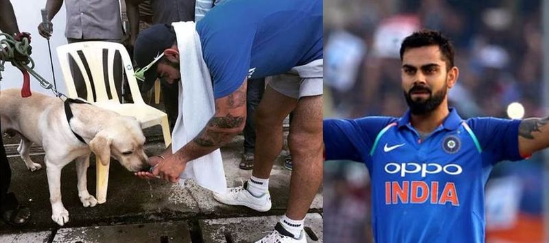 Virat Kohli wins hearts off-field, look at his gestures beyond the stadiums-shl