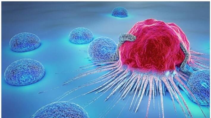 diet and foods to prevent cancer diet and foods to prevent cancer