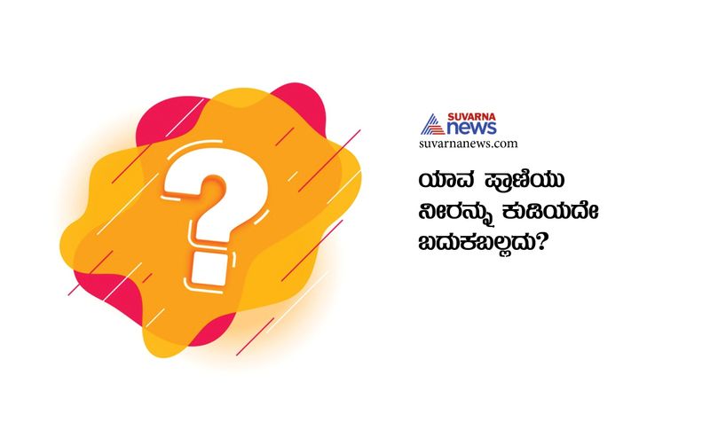 Tricky questions asked in IAS Interview in Kannada