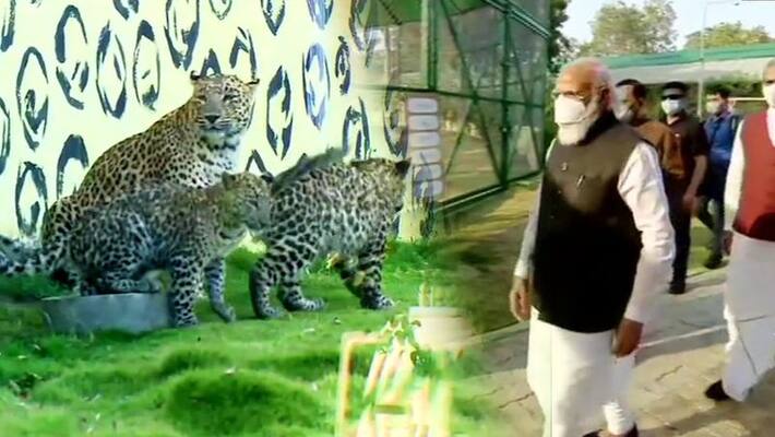 PM Narendra Modi inaugurates Sardar Patel Zoological Park in Kevadia ALB PM Narendra Modi inaugurates Sardar Patel Zoological Park in Kevadia ALB