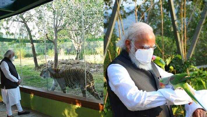 PM Modi inaugurates health park Ekta mall nutritious par in Guj PM Modi inaugurates health park Ekta mall nutritious par in Guj