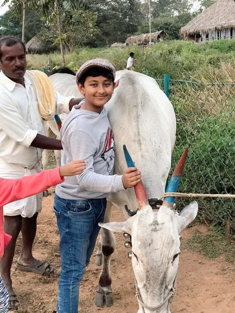 Challenging Star Darshan Son vineesh Darshan Birthday Celebration mah