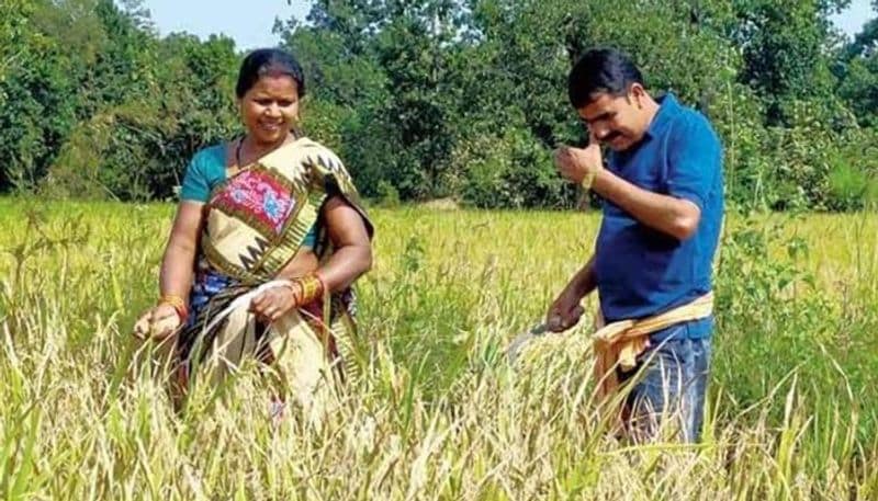 Politician like no other! Odisha MLA Nityananda Gond spends most of his time harvesting paddy, vegetables