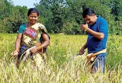 Politician like no other! Odisha MLA Nityananda Gond spends most of his time harvesting paddy, vegetables
