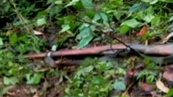Police Maoist exchange fire in Vizag Agency lns Police Maoist exchange fire in Vizag Agency lns