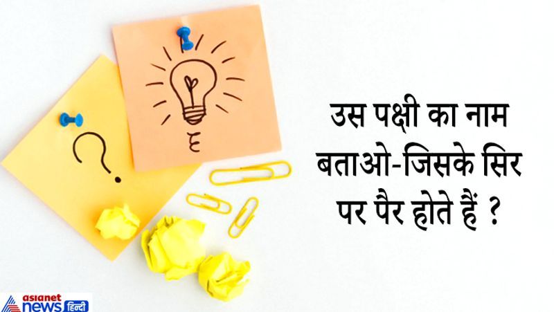 जवाब: सभी पक्षि्यों के सिर, पर और पैर होते हैं।
