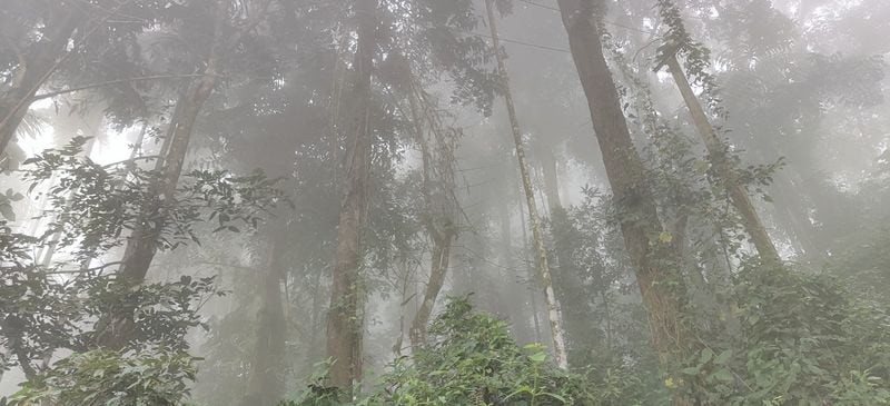 <p>তাওয়াং, অরুনাচল প্রদেশ: ছবির মত সাজানো গোছানো এই শহরটি পাহাড় প্রেমীদের জন্য একবারে আদর্শ একটি জায়গা এখানে গেলে দেখা মিলবে বৌদ্ধ মন্দিরেরও। এই স্থানটি ষষ্ঠ দালাই লামার জন্ম স্থান হিসাবে পরিচিত। </p>