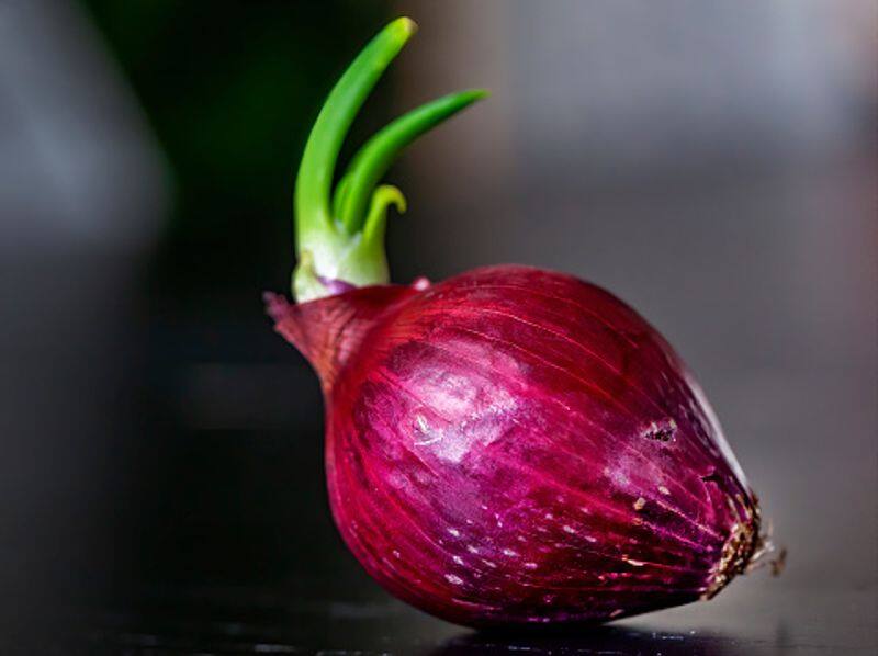 how to grow red onions in our home