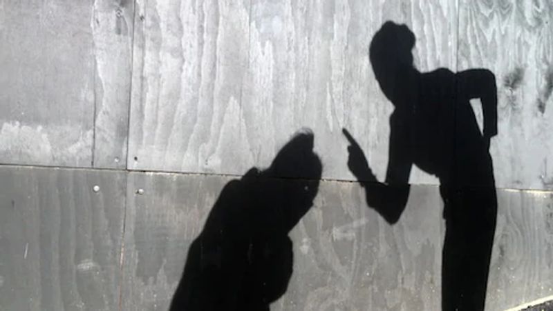वहीं, चार्ली के पिता ने बेटे की मानसिक और इमोशनल हेल्थ की चिंता में उस सामान को नष्ट किया था। पिता ने बताया कि पोर्न फिल्में देखने की चार्ली की आदत की वजह से ही उसे स्कूल और कॉलेज से पोर्नोग्राफी बेचने के आरोप में निकाल दिया गया था।
