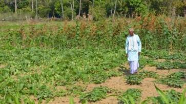 Chhattisgarh invites former AP IAS officer Vijay Kumar to encourage farmers to take up organic farming