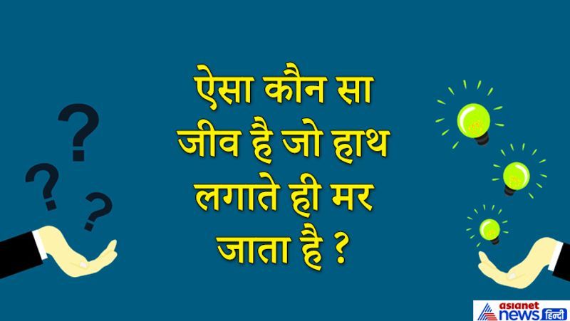 जवाब: प्लैटिपस (platypus)