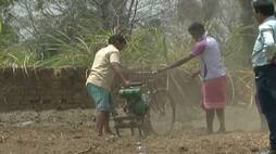 Governments big announcement for farmers, this gift given before Diwali