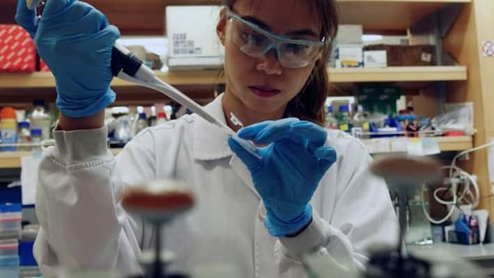 Coronavirus Infected count drops in West Bengal recovery rate at 90.80 percent-dbr Coronavirus Infected count drops in West Bengal recovery rate at 90.80 percent-dbr