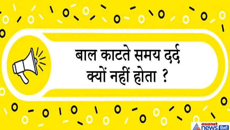 जवाब. शरीर विज्ञान की अगर बात करें तो इसमें ऐसा कहा गया है कि बाल और नाखून मृत कोशिकाओं से मिलकर बने होते हैं। डेड सेल्स से बनने की वजह से ये बेजान होते हैं और इन्हें काटने पर हमें दर्द नहीं होता है।