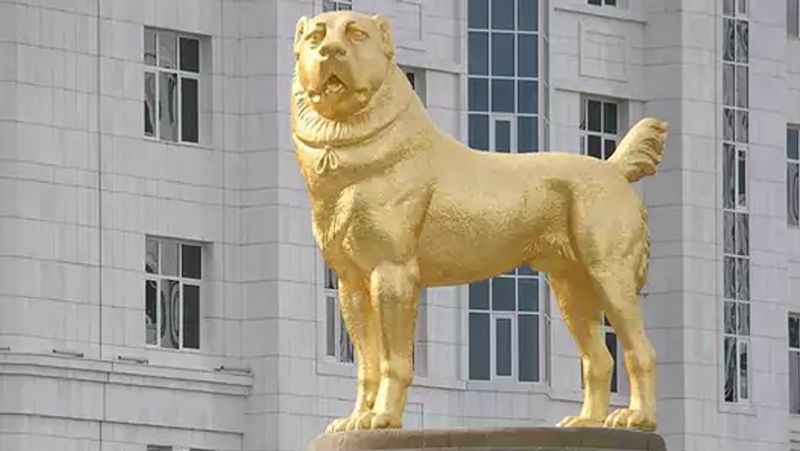 అలాంటి కుక్కలంటే తుర్క్మెనిస్థాన్ దేశాధినేత గుర్భంగులి బెర్డిముఖమెదోవ్ కు కూడా చాలా చాలా ఇష్టం. అందులోనూ అలాంటి ఇలాంటి కుక్కలు కాదు సెంట్రల్ ఆసియాలో నివసించే ‘అలబాయ్’ అనే అరుదైన జాతి కుక్కలంటే ఎంతో మక్కువ.
