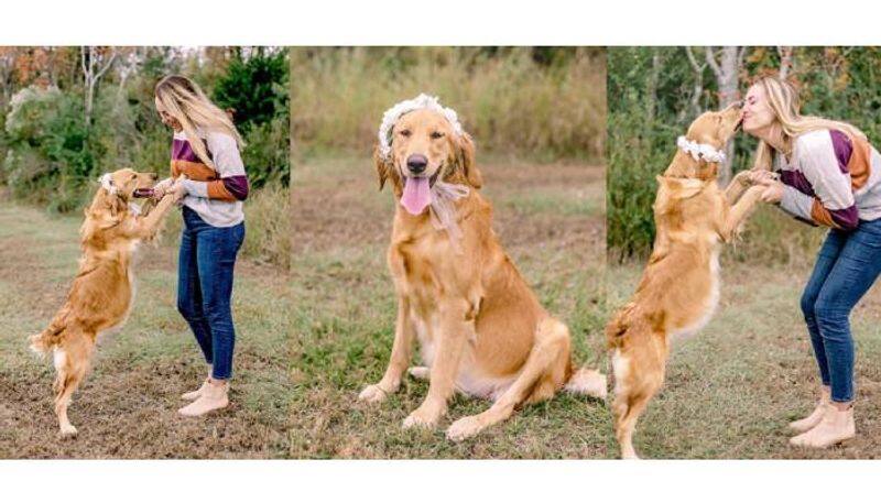 Woman shares maternity photoshoot for pregnant dog