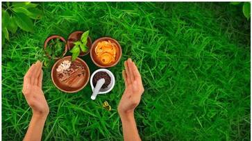 Indicating inclination for Ayurvedic products, IMPCL boasts turnover of Rs 164.33 crore