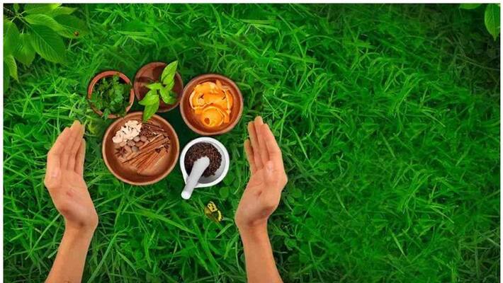 Temporary appointment of Ayurvedic Pharmacist Temporary appointment of Ayurvedic Pharmacist