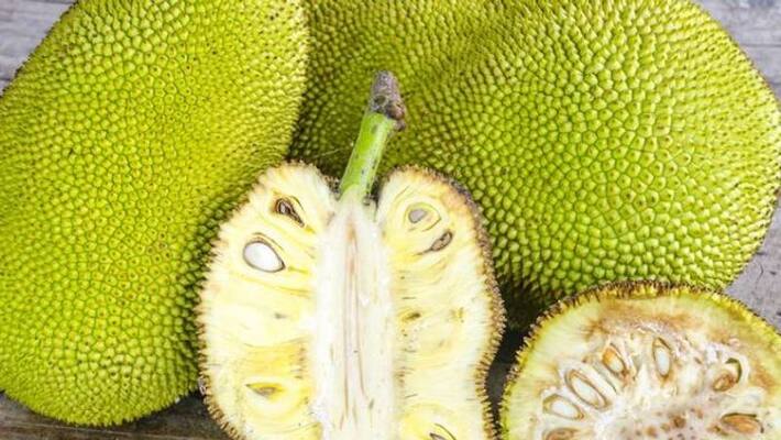The first exports from Kerala to Australia, from jack fruit to nutmeg, were flagged off by APEDA The first exports from Kerala to Australia, from jack fruit to nutmeg, were flagged off by APEDA