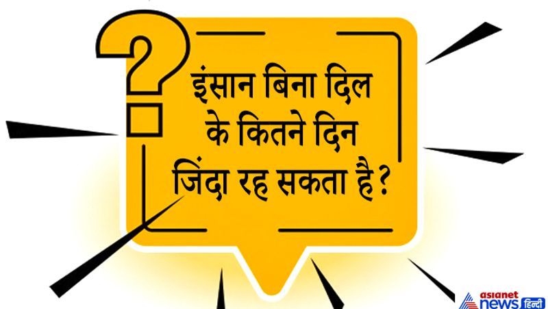 जवाब. बिना दिल के इंसान का जीवित रहना किसी चमत्कार से कम नहीं होगा। लेकिन अमेरिका में एक शख्स बिना दिल के एक-दो दिन नहीं बल्कि पूरे डेढ़ साल तक जिंदा रहा था।अमेरिका में मिशिगन राज्य के पिसिलैंट शहर में 25 वर्षीय एक व्यक्ति हृदय नहीं रहने के बाद भी लगभग डेढ़ साल तक जीवित रहा। सीएनएन' की रिपोर्ट के अनुसार, शख्स का मई में हृदय प्रत्यारोपण किया गया। इससे पहले 555 दिनों तक (लगभग डेढ़ साल) वह हृदय के बगैर जीवित रहा।