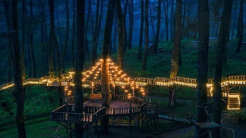 लेम्बांग के इस ऑर्चिड फॉरेस्ट (Orchid Forest) में इस पुल के साथ टूरिस्ट्स के बैठने और आराम करने के लिए जगह बनाई गई है। वहां भी हमेशा दीपावली की तरह रोशनी जगमगाती रहती है। 