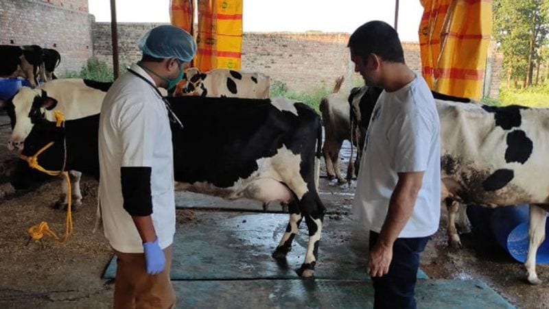 क्रिकेट के बाद अब खेती में भी शॉट लगाने के लिए उतर चुके हैं महेंद्र सिंह धोनी, स्ट्रॉबेरी बेच कर करते हैं 30 लाख रुपए की कमाई – WorldTrueNews