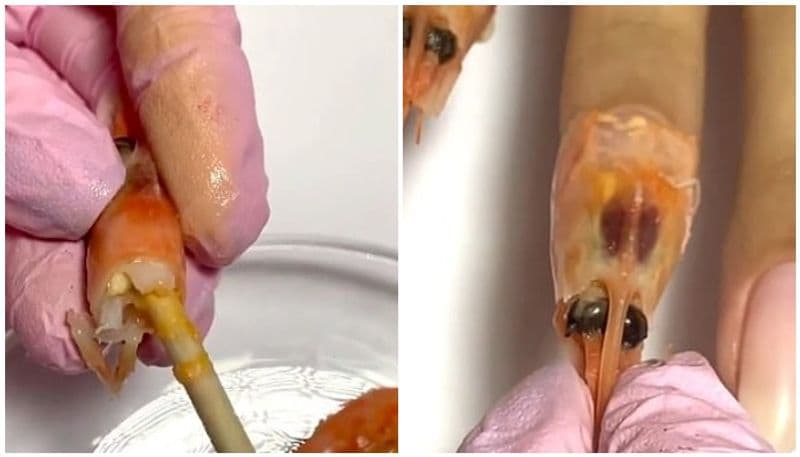 Nail salon notorious for its bizarre designs