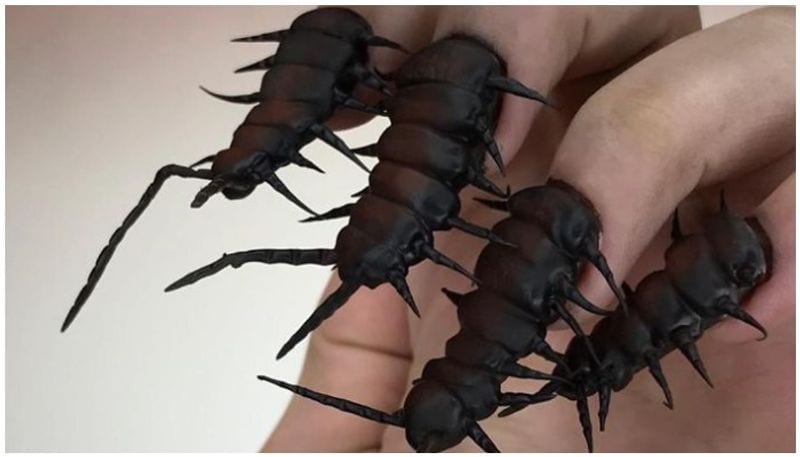 Nail salon notorious for its bizarre designs