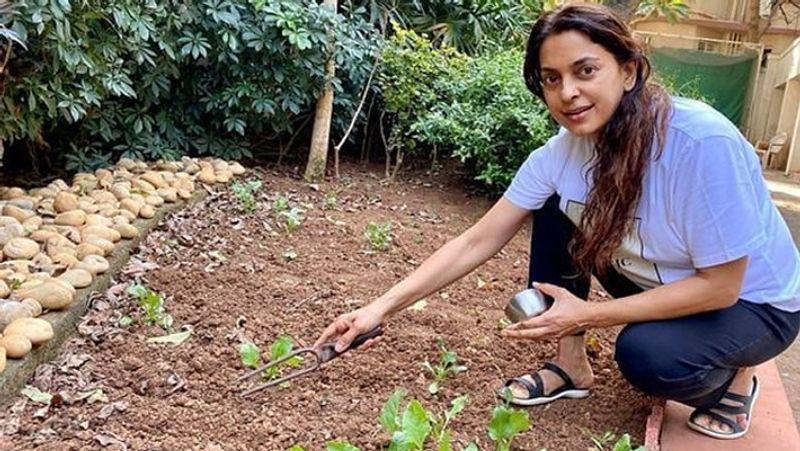 बता दें कि जूही चावला पर्यावरण एक्टिविस्ट भी हैं। वो अपने दोस्तों के बर्थडे या खास मौकों पर ज्यादा से ज्यादा पौधे लगाकर उन्हें गिफ्ट करती हैं। साथ ही पर्यावरण को लेकर लोगों में जागरूकता पैदा करने की भी कोशिश करती हैं।