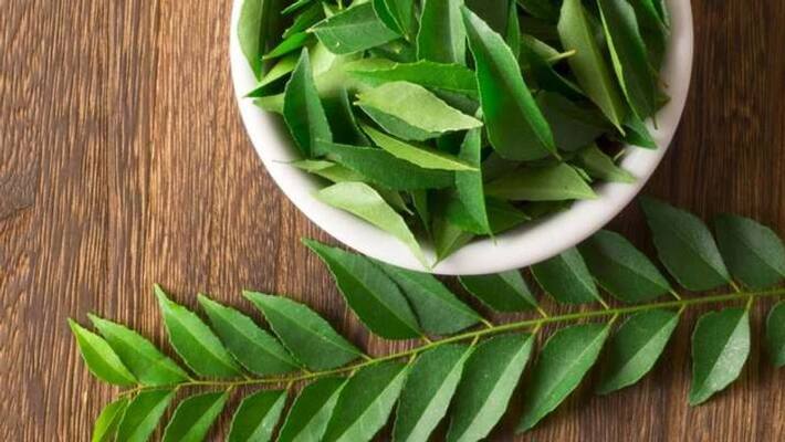 herbs and spices which helps to control diabetes herbs and spices which helps to control diabetes