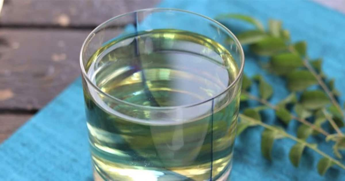 Curry Leaves Tea Can Be A Boosting Factor In Your Weight Loss Journey