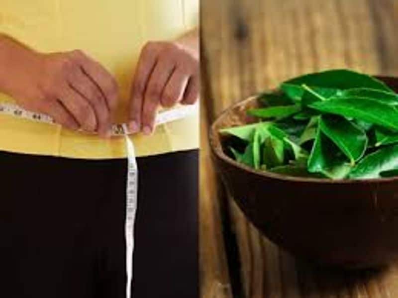 Does curry leaves reduce cholesterol and sugar?