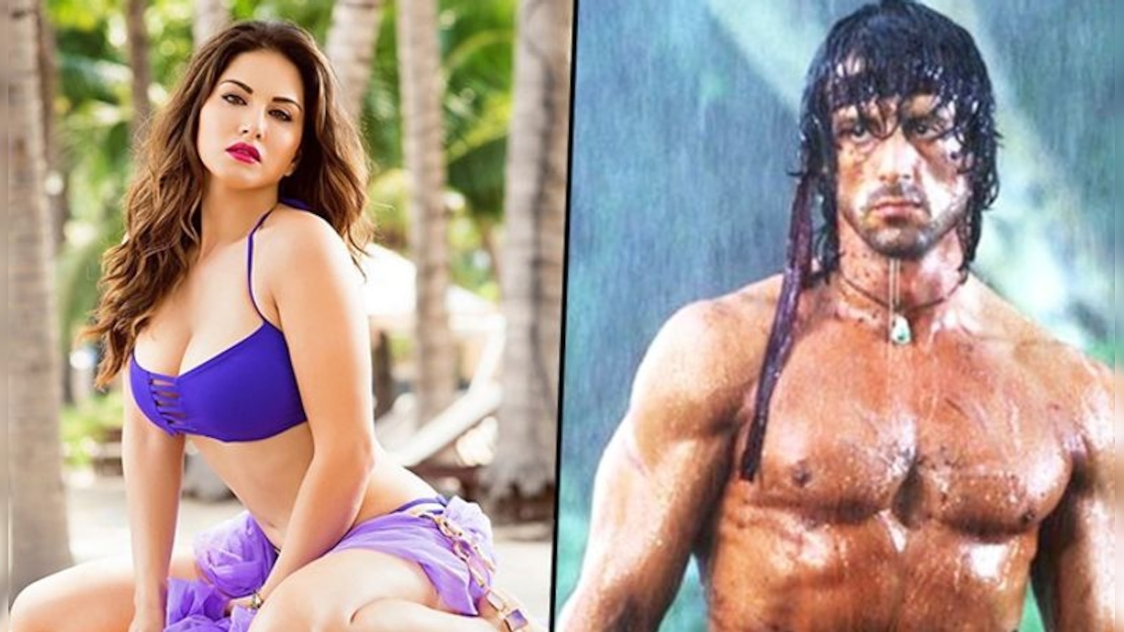 Sunny Leone to Sylvester Stallone: 5 famous porn stars who acted in  Bollywood films