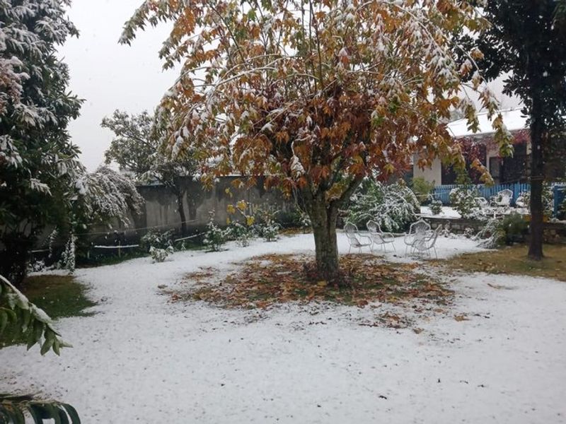 kashmir tourism hoping in snowfall photo story