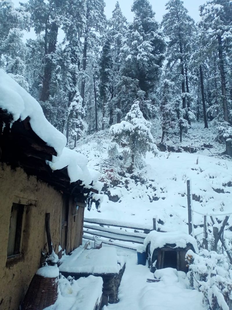 kashmir tourism hoping in snowfall photo story