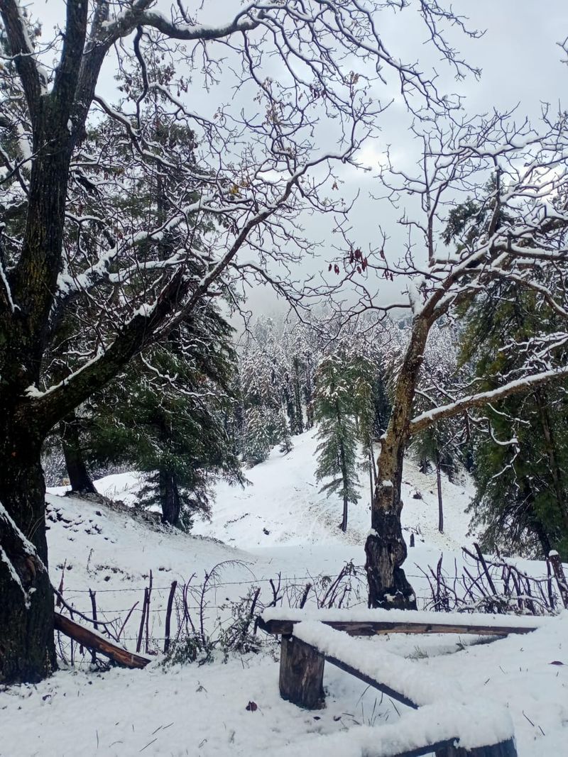 kashmir tourism hoping in snowfall photo story