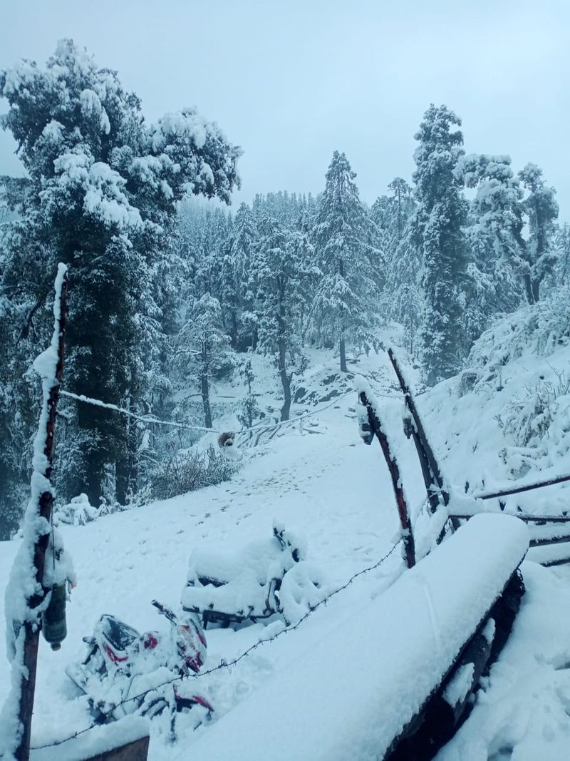 kashmir tourism hoping in snowfall photo story