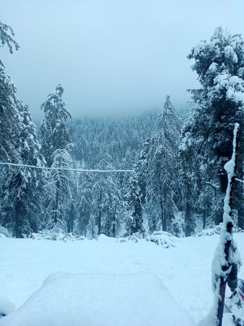kashmir tourism hoping in snowfall photo story