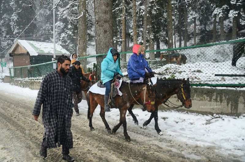 kashmir tourism hoping in snowfall photo story