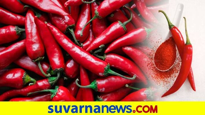Byadgi chilli Sold All Time Record Price snr Byadgi chilli Sold All Time Record Price snr