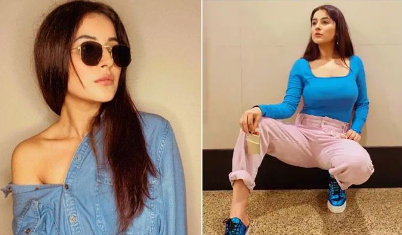 इसके साथ ही टीवी रियलिटी शो बिग बॉस के 13 की फेवरेट कंटेस्टेंट रहीं पंजाब की कैटरीना यानी शहनाज गिल ने 6 महीने में 12 किलो वजन घटाया था। एक्ट्रेस ने कहा था कि दो रोटी की भूख होने पर उन्होंने 1 खाई और बिना वर्कआउट के वेटलौस किया। उन्होंने वजन कम करने के लिए नॉन वेज, आइस्क्रीम और चॉकलेट तक खाना छोड़ दिया था। 