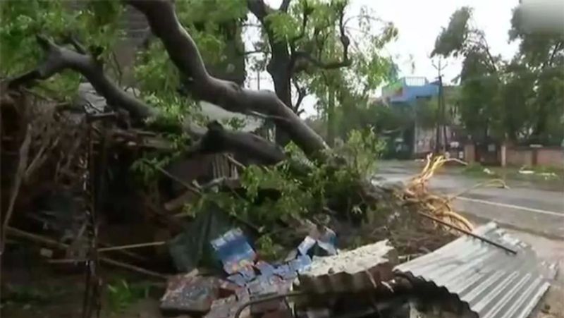 वहीं, तमिलनाडु में आए गाजा तूफान के कारण उनके घर की छत उड़ गई थी। घर के आसपास के पेड़-पौधे भी टूट गए थे। जिसके कारण उनका पूरा परिवार एक झुग्गी में रहने को मजबूर हो गया।