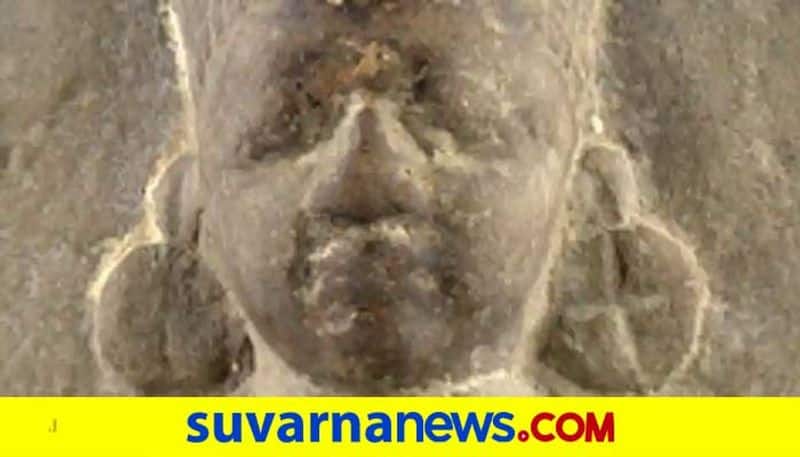 Karnataka Bandh to Ab Devillers top 10 news of november 20 ckm