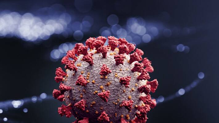 South Africa detects new COVID 19 variant has a very unusual constellation of mutations South Africa detects new COVID 19 variant has a very unusual constellation of mutations