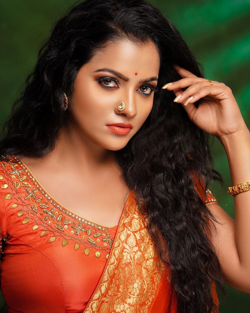 Pandian stores chitra Bridal photo shoot going viral