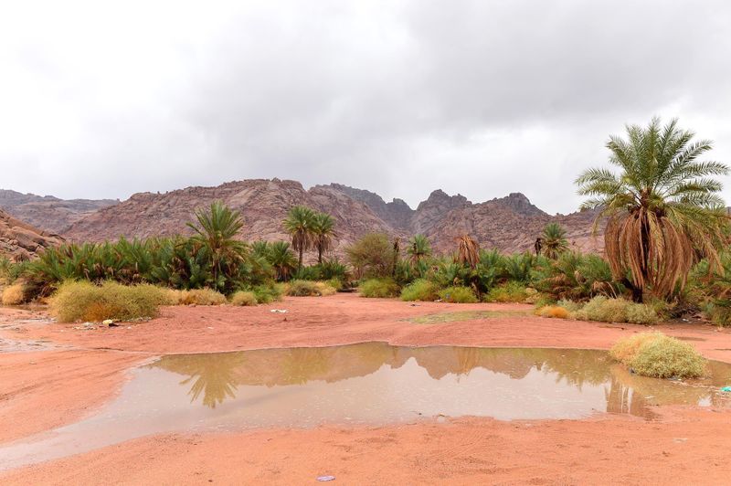 heavy rainfall in many parts of saudi arabia