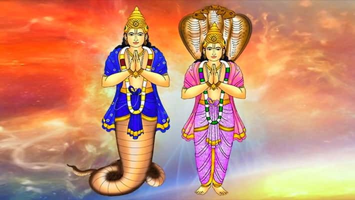 Rahu Transit in Zodiac and Nakshatra so the fate of these three zodiacs will be filled with happiness BDD Rahu Transit in Zodiac and Nakshatra so the fate of these three zodiacs will be filled with happiness BDD
